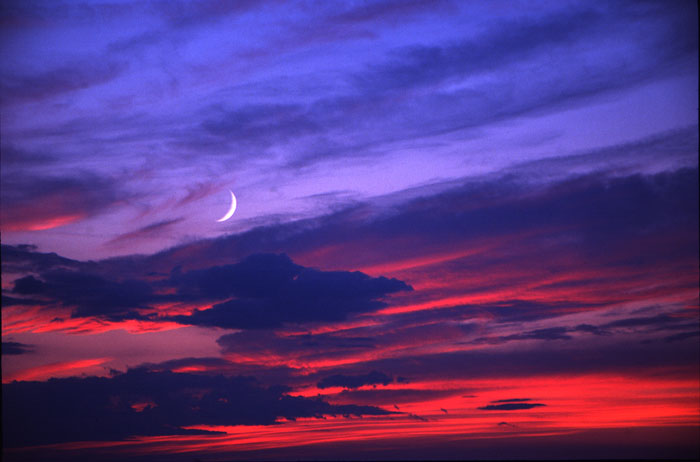 A slivered crescent moon rests among an entanglement of vivid megenta and deep ultramarine whisps of clouds.